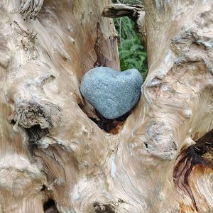 Meet your Posher, Kris